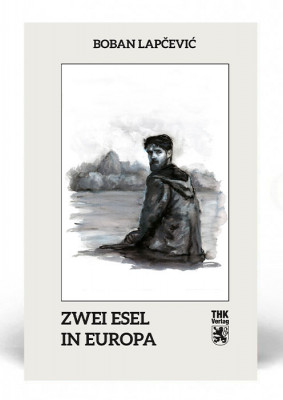 Zwei Esel in Europa